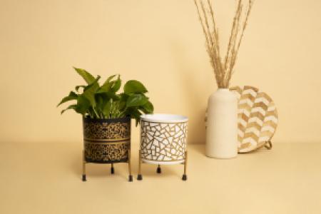 Demo Product 4