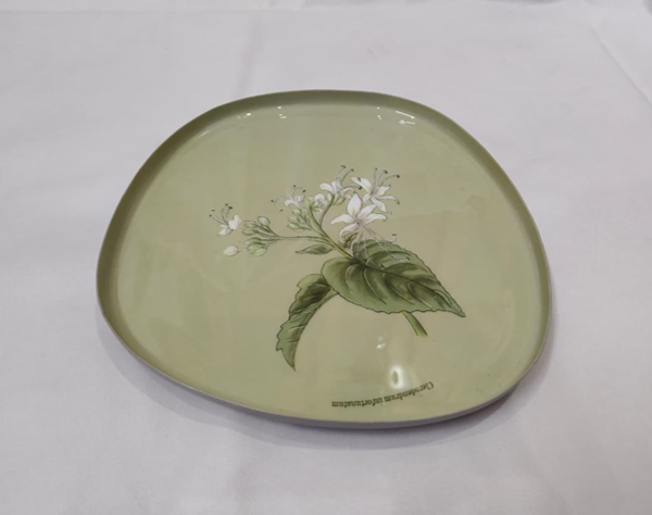Metal Organic Enamel Tray || Enamel Tray 2