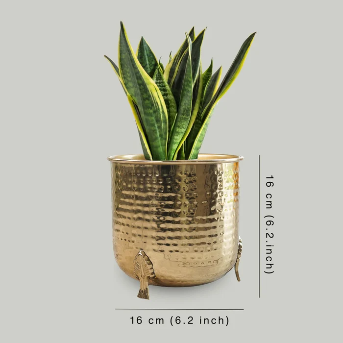 Gold Hammered Metal Planter with Decorative Feet – Round Planter 3