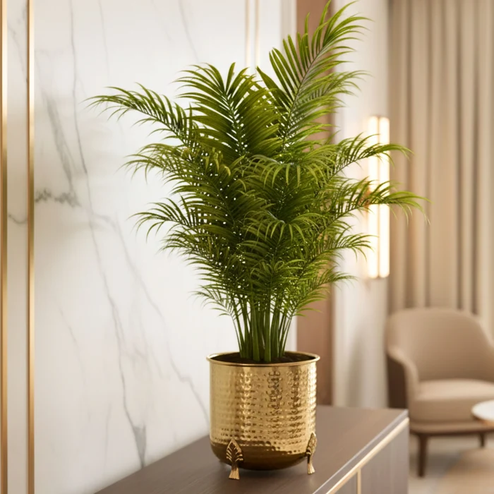 Gold Hammered Metal Planter with Decorative Feet – Round Planter 4